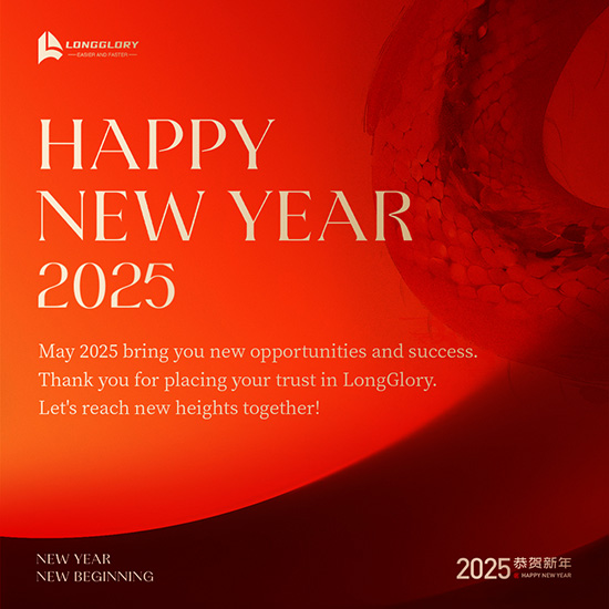 2024 Review: Stable Growth and Future Potential