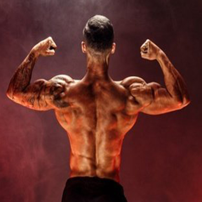How to Use the Seated Shoulder Press Machine