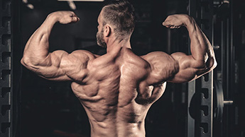 What Fitness Equipment Can Be Used for Shoulder Muscle Training?