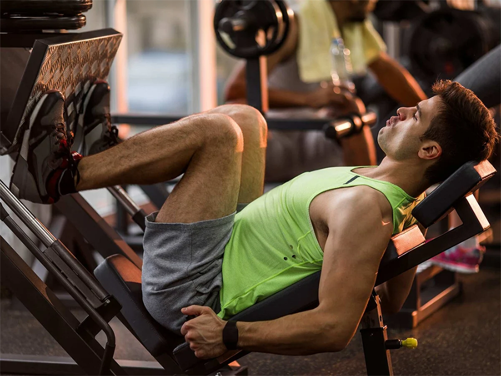Leg Curl vs Leg Press:Which is better for your leg workout?