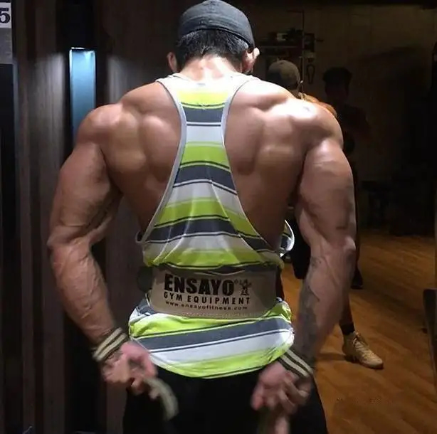 Which Machines Can Train Your Back Muscles?