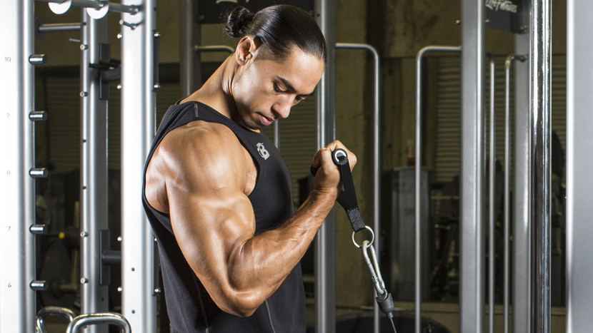 How to Use a Bicep Curl Machine for Effective Arm Training