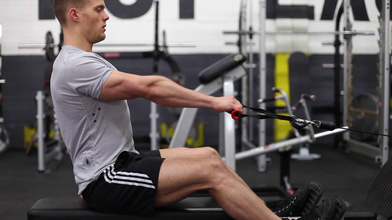 Essential Back Exercise Seated Row