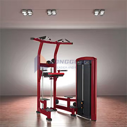 Assisted Dip & Pull-Up Machine