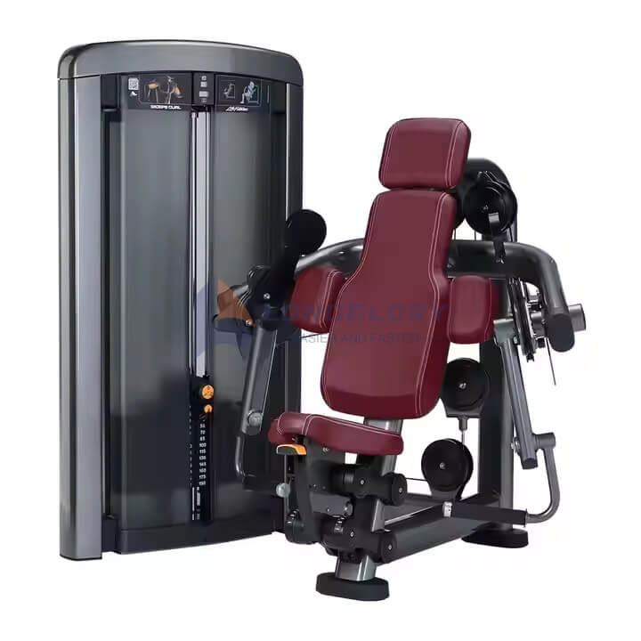 Bicep Curl and Triceps Machine