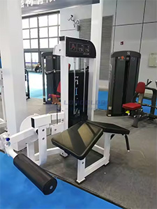 leg press