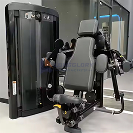 Strength Training Machine Exercise Arms Seated Bicep Curl Machine Gym Fitness Equipment 