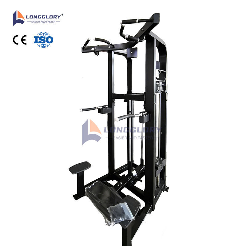 Assist Dip Chin Machine