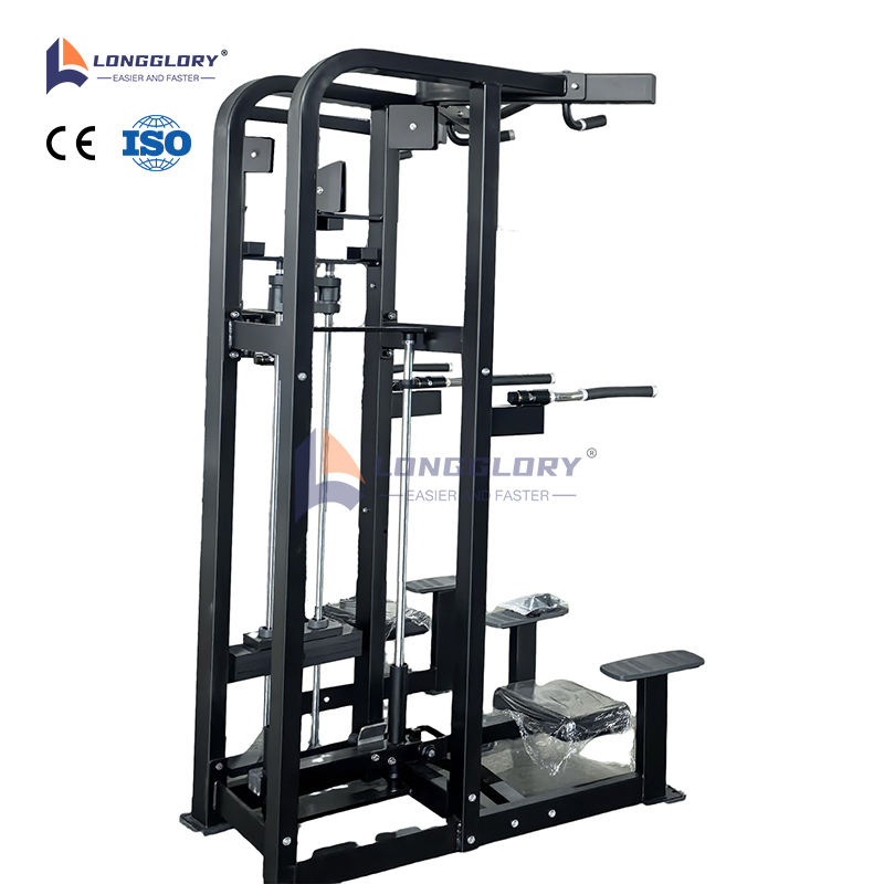 Assist Dip Chin Machine