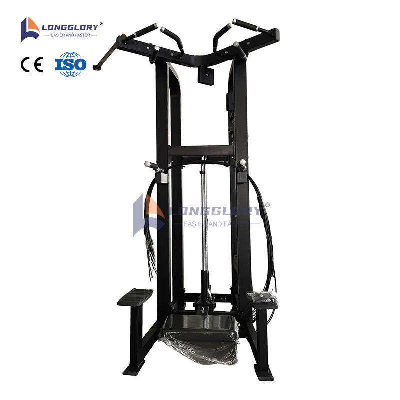 Assist Dip Chin Machine